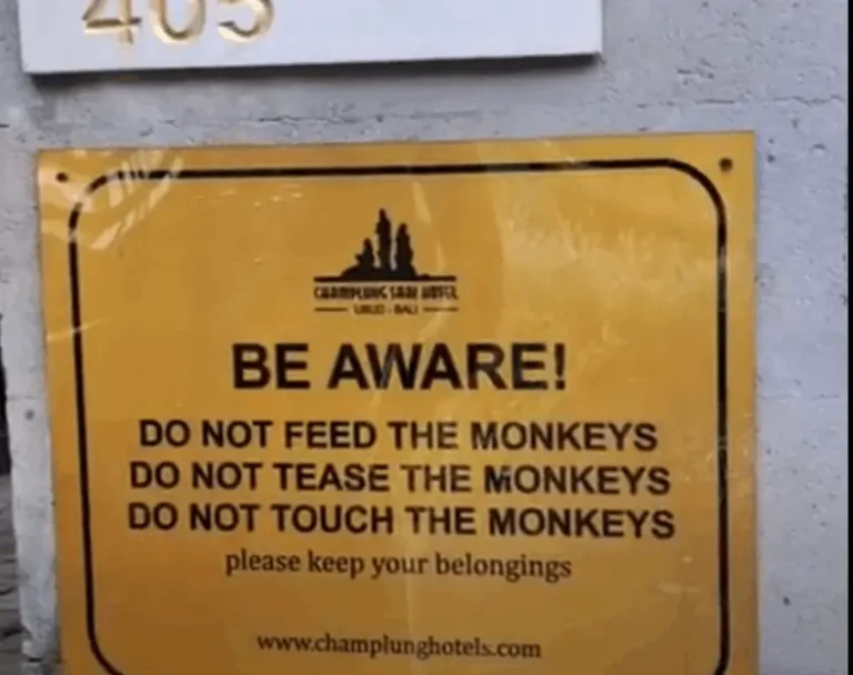 Initiation in the Monkey Forest